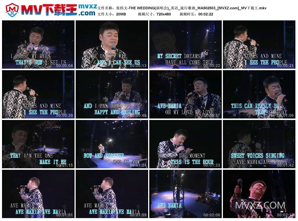 张伟文-THE WEDDING(演唱会)_英语_流行歌曲_MA502503